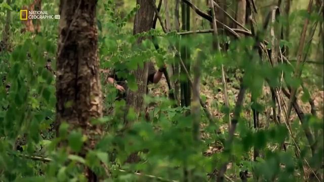 История японской железной дороги СМЕРТИ ... смотреть онлайн