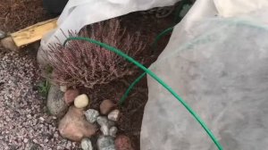 ?Супер подставка для цветов?своими руками?