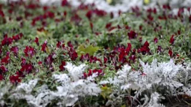 Кусочек осени смотреть онлайн