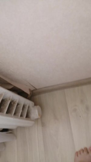 я готовлю рюкзак в школу