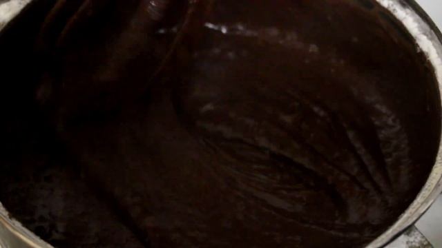 Животные в Зоопарках