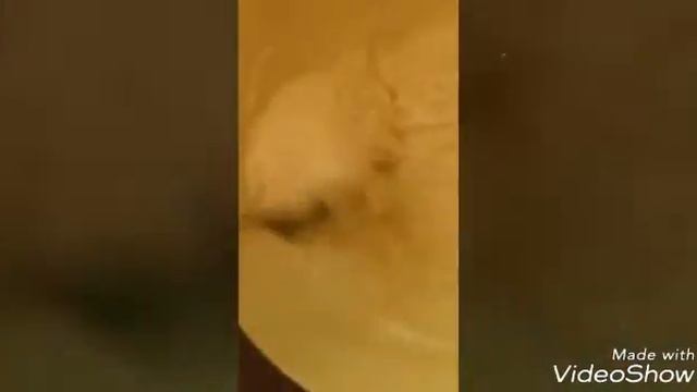 Как сделать Кинетический песок😱 смотреть онлайн