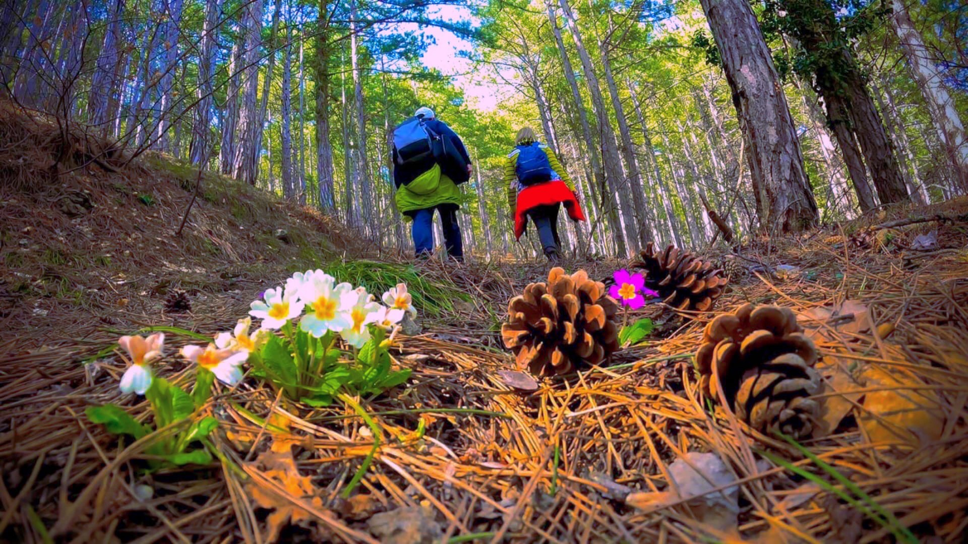 ЯЛТА. ЭТО СТОИТ УВИДЕТЬ! Тропа в ущелье ТЕМИАР. Купель Дианы. Водопады, горы, природа. Крым 2022 смотреть онлайн