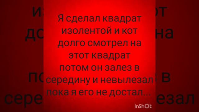 Реакция кота на квадрат, сделанный изолентой!!! смотреть онлайн