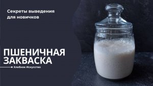 Как Вывести Идеальную Пшеничную Закваску: Пошаговое Руководство
