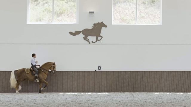 Riding Holidays In Portugal - Quinta Do Rol