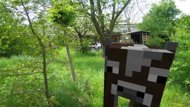 [Minecraft] Cow in Reality смотреть онлайн
