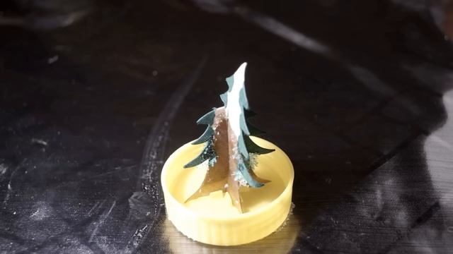 Эксперимент: Как растет елка. Time lapse: 10 часов в одной минуте смотреть онлайн