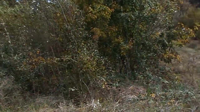 Продается участок в Убинской, Северский район, Краснодарский край. Купить участок в Убинской