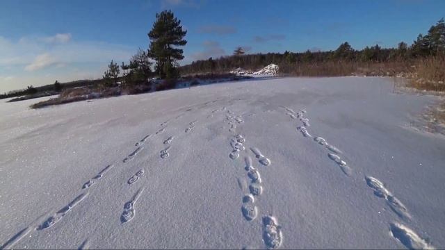 Открытие зимнего сезона!!! Ловля чёрной щуки!!!! смотреть онлайн