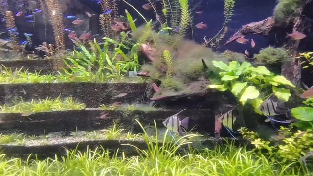 Москвариум смотреть онлайн