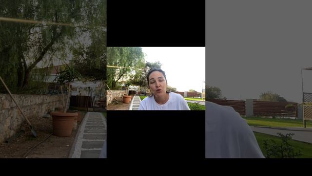 Северный Кипр/ как правильно покупать недвижимость/ подводные камни рынка недвижимости на СК смотреть онлайн