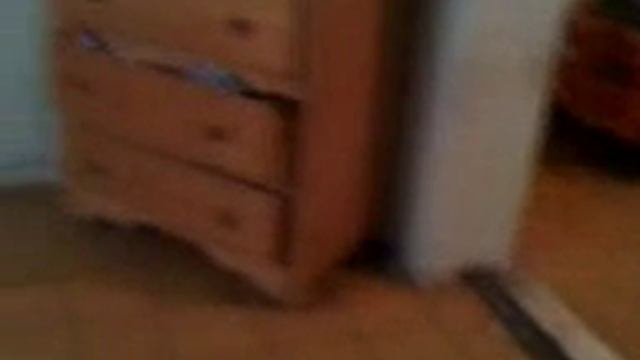 angel y bongo смотреть онлайн