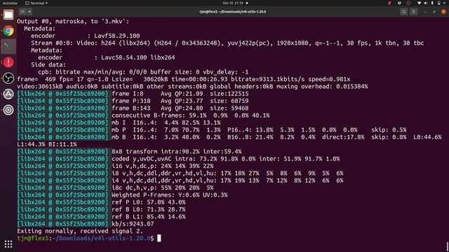 ffmpeg record webcam Ubuntu generic wideangle webcam. Part 3/3 (3 diff webcams with diff cmd lines) смотреть онлайн