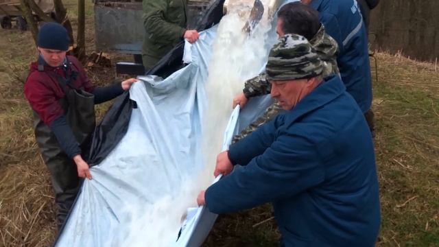 Ратайчицы .Аренда.Обустройство. Зарыбление пруда часть 2 смотреть онлайн
