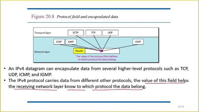 Computer Networks || Internet Protocol || IPv4 Header Format смотреть онлайн