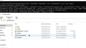 КАК СОЗДАТЬ СЕРВЕР В МАЙНКРАФТ БЕЗ АТЕРНОСА И ХОСТИНГОВ???