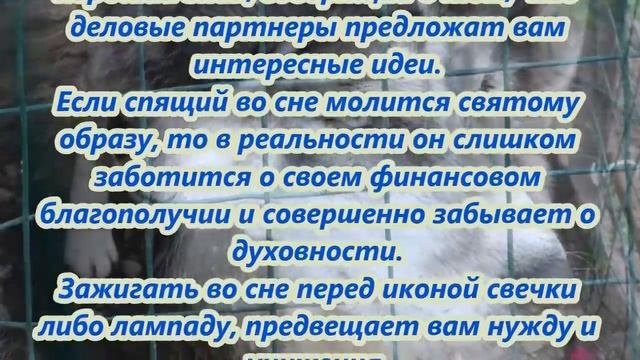 К чему снится икона смотреть онлайн