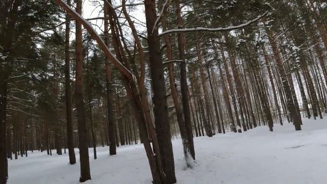 Рывковый трос(канат). Ховер н-3 пробег 239 км.. смотреть онлайн