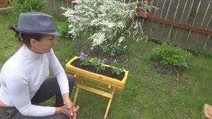 Кашпо для цветов на подставке-козлике моими руками