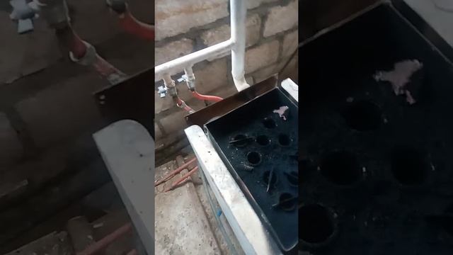 кател мимакс смотреть онлайн