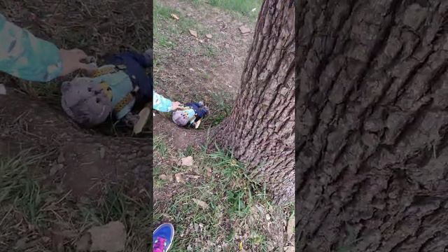 2 часть, мультик Басики смотреть онлайн