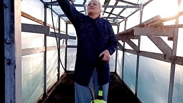 Готовлю теплицу к сезону?мои ирисы? смотреть онлайн