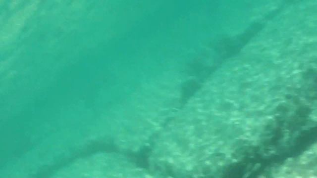 Dicapac housing for Sony tg7 смотреть онлайн