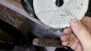 Замена адсорбера на ваз 2115.