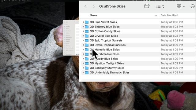 How To INSTALL Skies in Luminar Neo смотреть онлайн