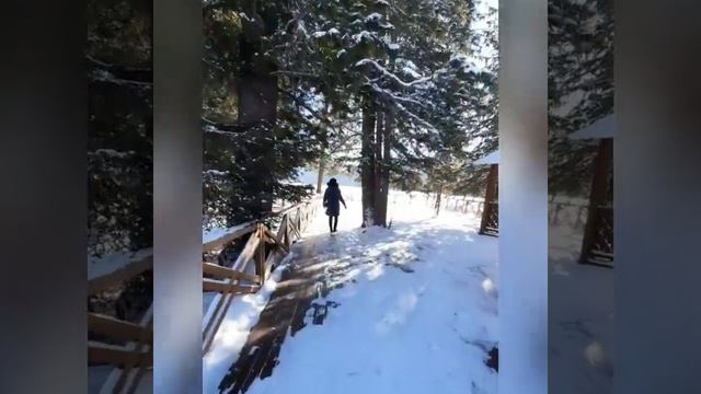 Катон-Карагай, Рахмановские ключи смотреть онлайн