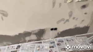 Обработка стен от плесени