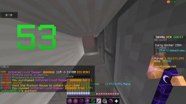 Best Skyblock AH Flipper? Get 200m/day! (TFM - The Flipping Mod)