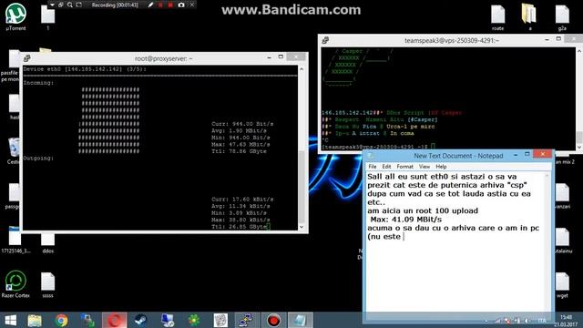 Marele script ddos "csp" смотреть онлайн