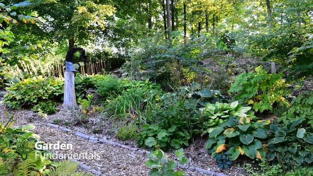 How to Create a Beautiful Shade Garden - Solve Problem Areas (secrets of shade gardeners) смотреть онлайн