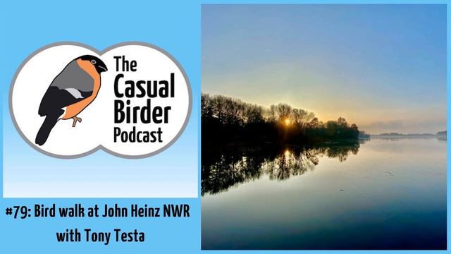 #79 Bird walk at John Heinz NWR with Tony Testa смотреть онлайн