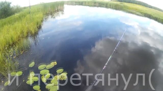 Неудачи Рыбалки 2.04 "Красный Яр-Уразовка" попалось бревно смотреть онлайн