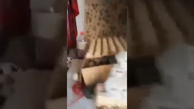 Дети в холодильнике!!!!!?????? Шок смотреть онлайн
