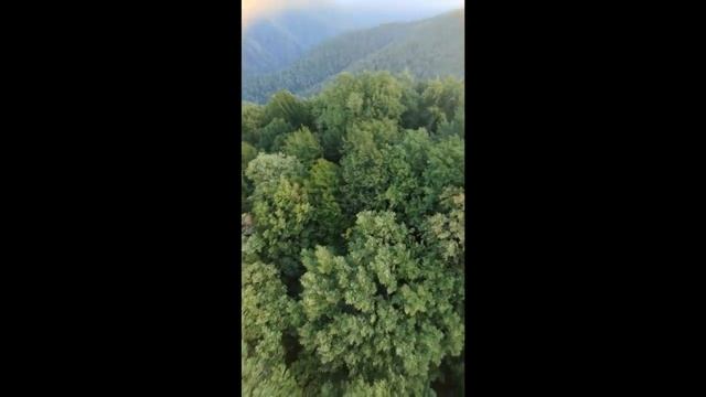 Полет на воздушном шаре в Солохауле Сочи Русская Каппадокия