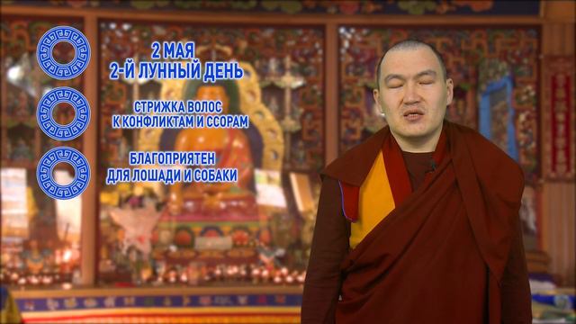 Посадите дерево смотреть онлайн