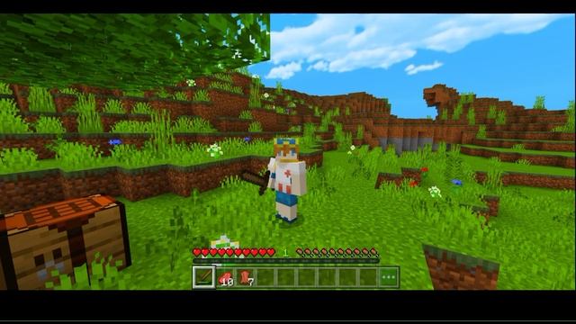 Night Vision Addon For Minecraft Pe 1.19 | Night Vision Texture Pack For Mcpe | Devay Gaming смотреть онлайн