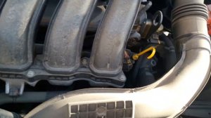 Дастер гул.(1)