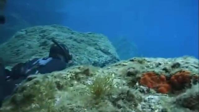 Подводная охота на Лавраков и кефаль (Spearfishing Levrаk)