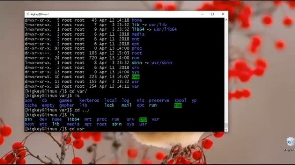 Linux introduction in Telugu part -2 | Linux Telugu | Linux root directory | Linux Real time