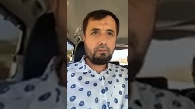 YORQINJON DOMLA HAQIDA MA'LUMOT.