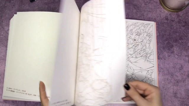 Обзор раскраски SS Illustration - Coloring Book Review смотреть онлайн