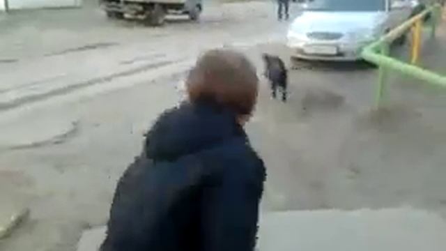 Да Ди э смотреть онлайн