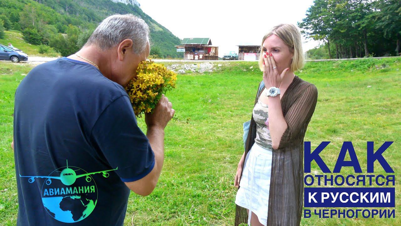 Авиамания Путешествия