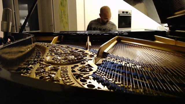 #167 of 10.000 Blüthner Grand Piano Pieces смотреть онлайн