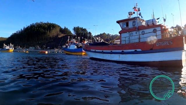 Navegando por las costas de DICHATO por poco nos hundimos смотреть онлайн